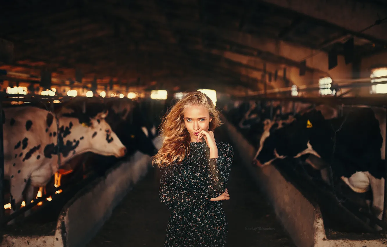 Photo wallpaper look, girl, light, pose, Windows, hand, cows, dress