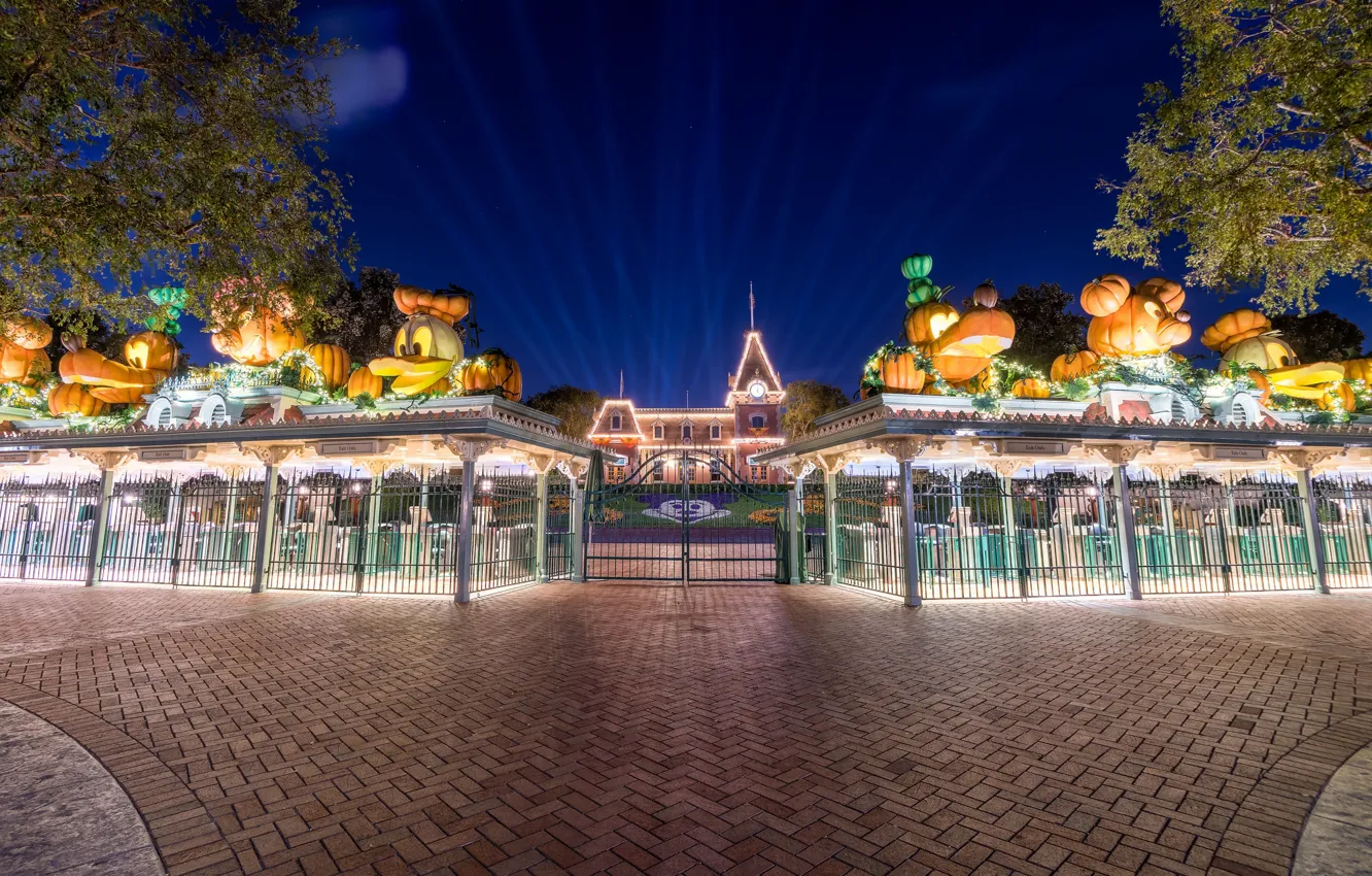 Photo wallpaper the city, Park, building, Disneyland, night city