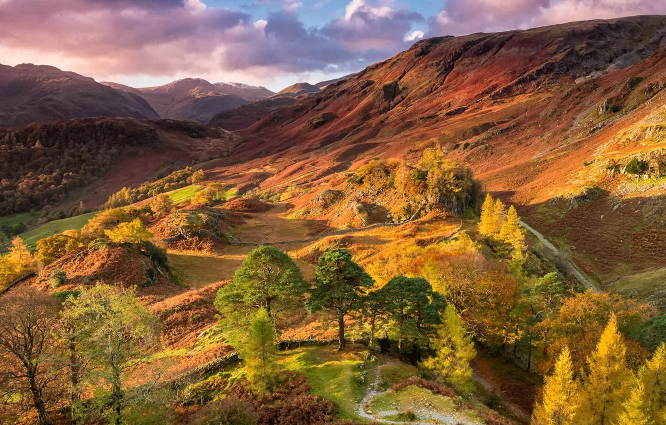 Photo wallpaper autumn, mountains, nature