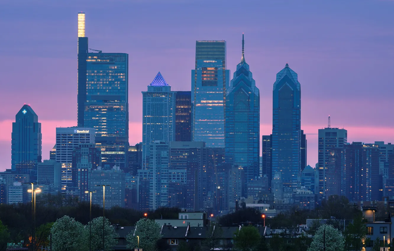 Photo wallpaper the sky, trees, sunset, lights, building, home, skyscrapers, the evening