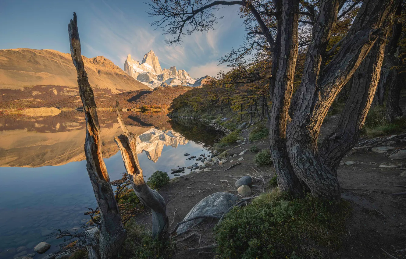 Photo wallpaper trees, mountains, branches, shore, view, pond, Andes