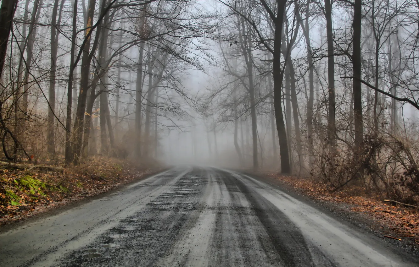 Photo wallpaper road, landscape, HDR