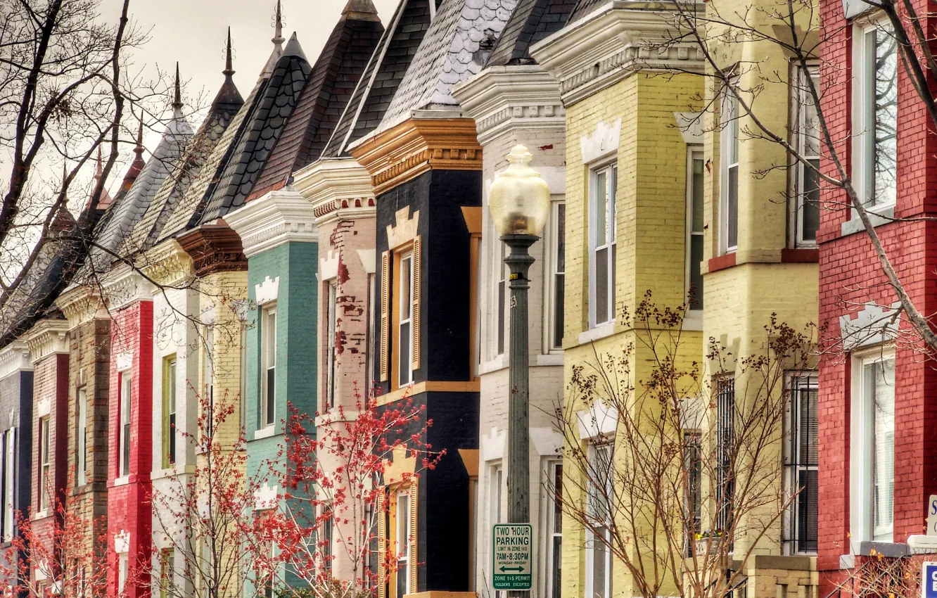 Photo wallpaper trees, street, Windows, building, home, roof, lantern, Washington