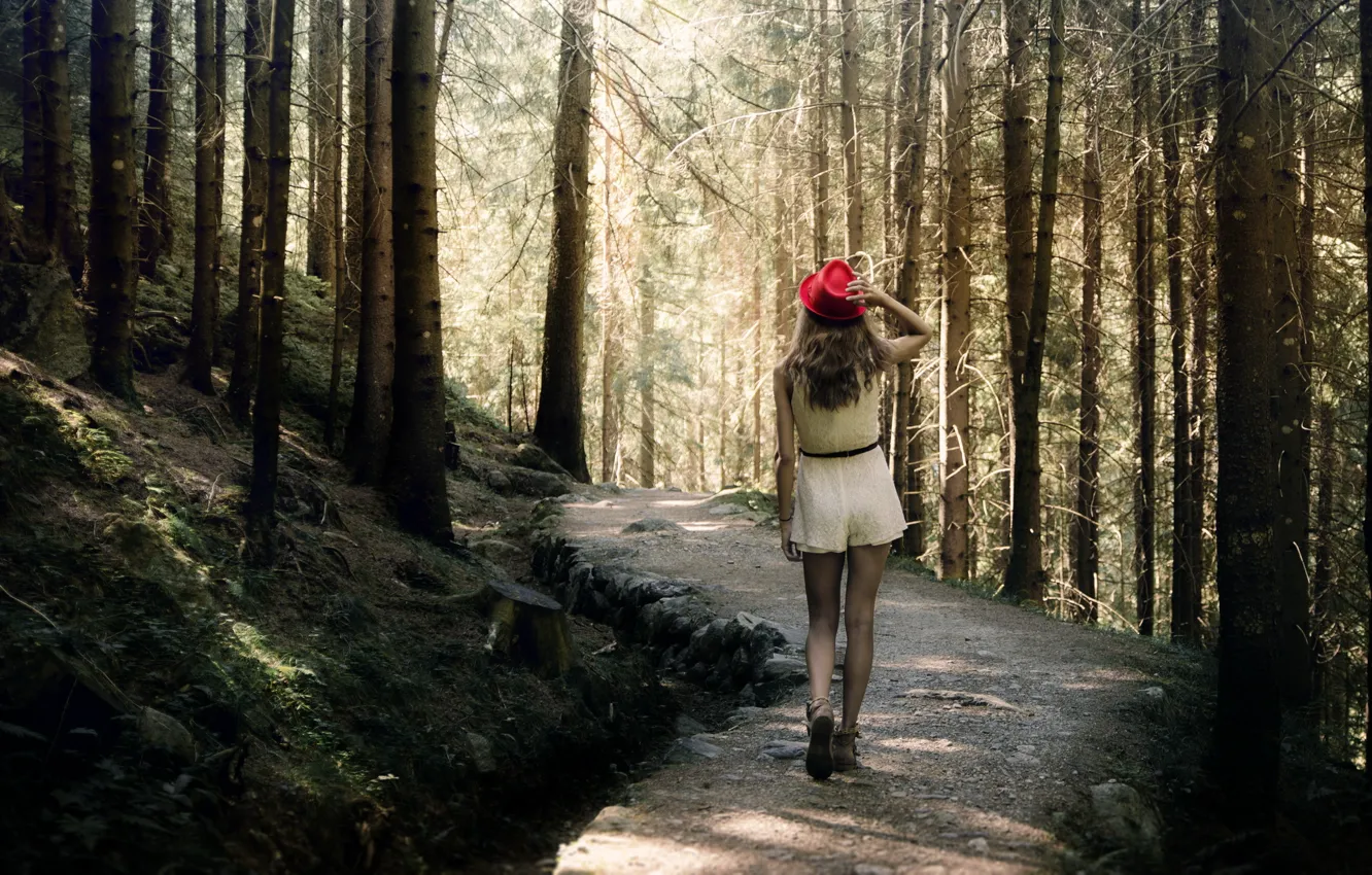 Photo wallpaper forest, girl, walk