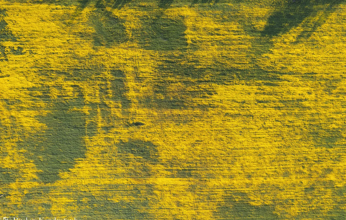 Photo wallpaper colors, grass, aerial view