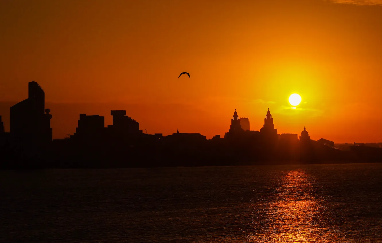 Photo wallpaper the sky, water, the sun, sunset, bird, Asia, silhouette
