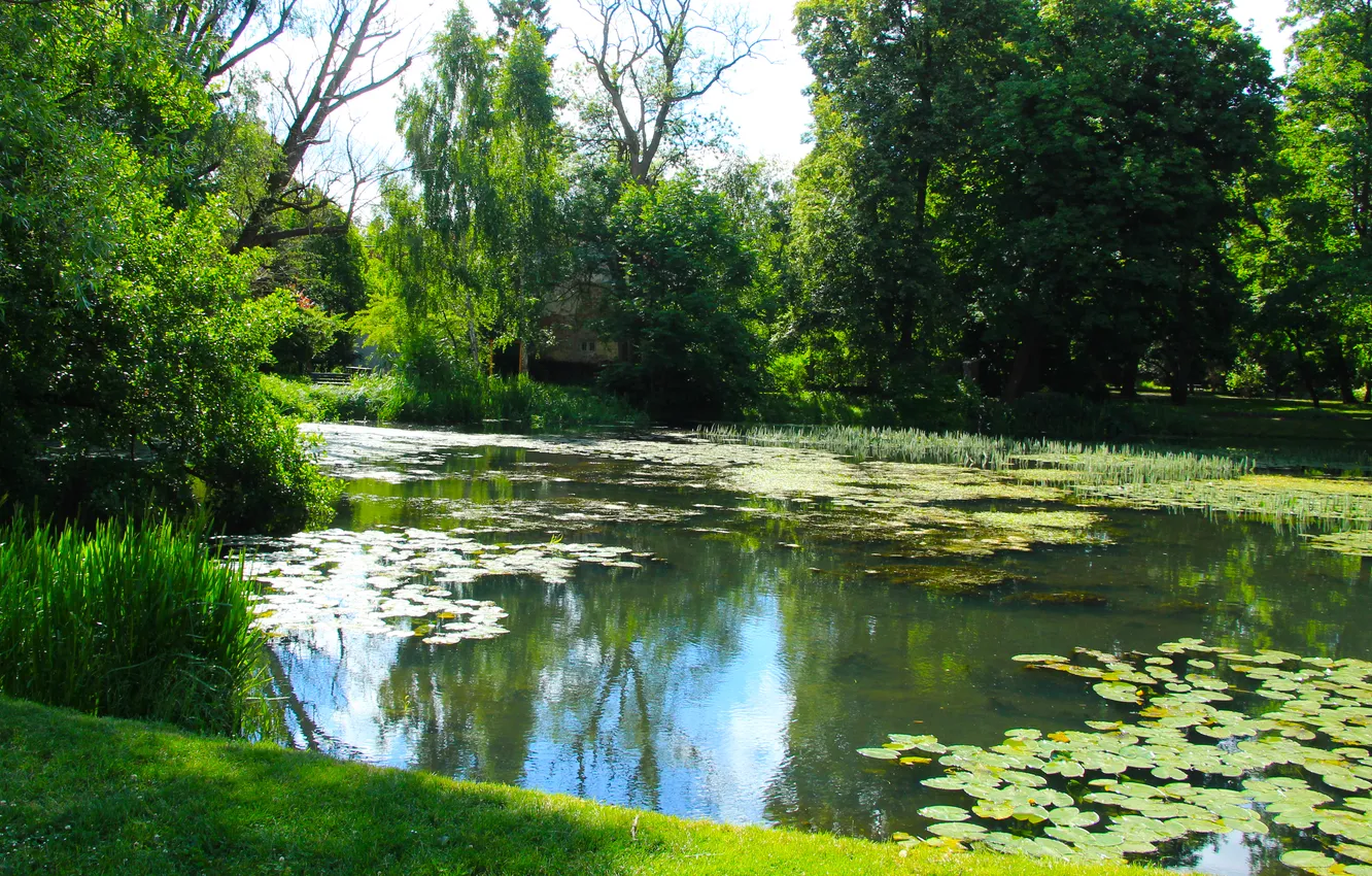 Photo wallpaper water, park, lake, pond