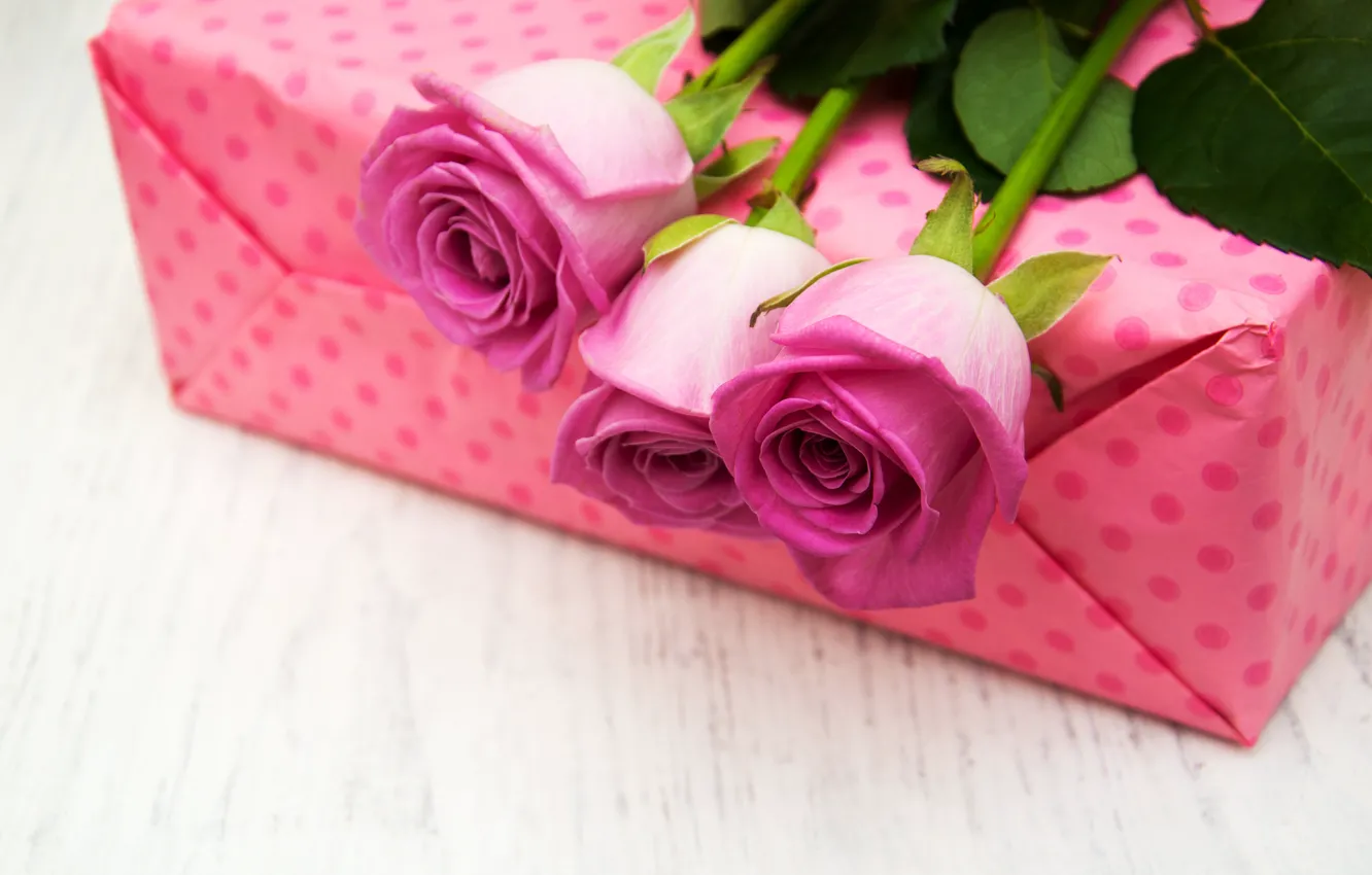 Photo wallpaper gift, roses, congratulations, Olena Rudo