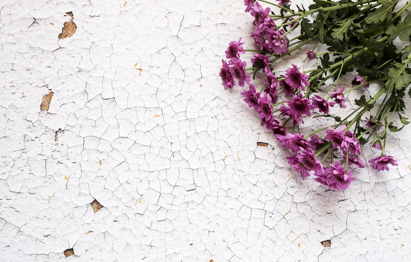 Photo wallpaper flowers, bouquet, chrysanthemum, wood, flowers, purple