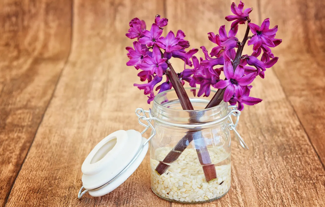 Photo wallpaper flowers, bouquet, wood, purple, Hyacinths