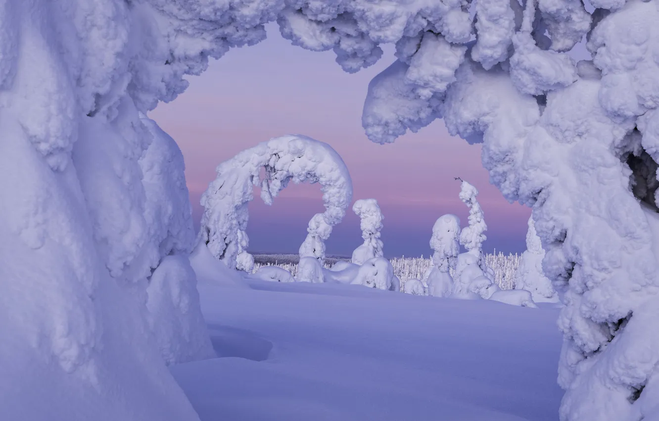 Photo wallpaper winter, winter, fabulous, Finland, finland, laplandia