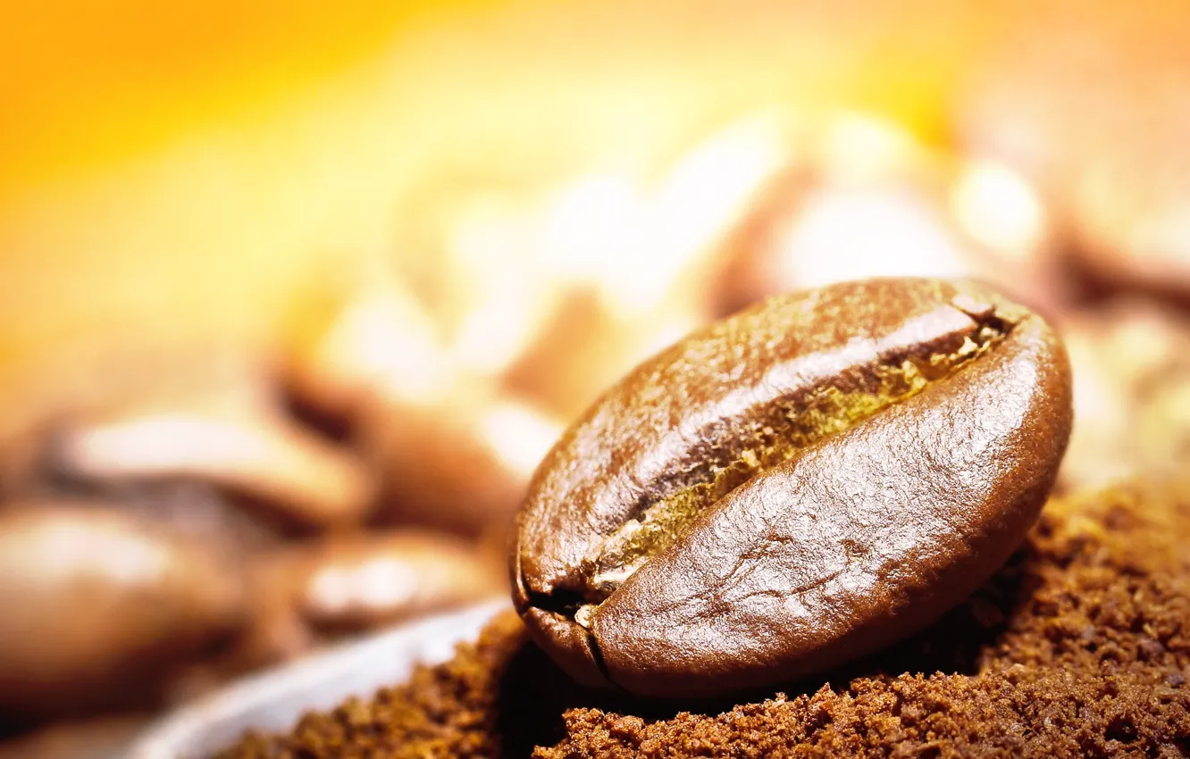 Photo wallpaper coffee, grain, blur