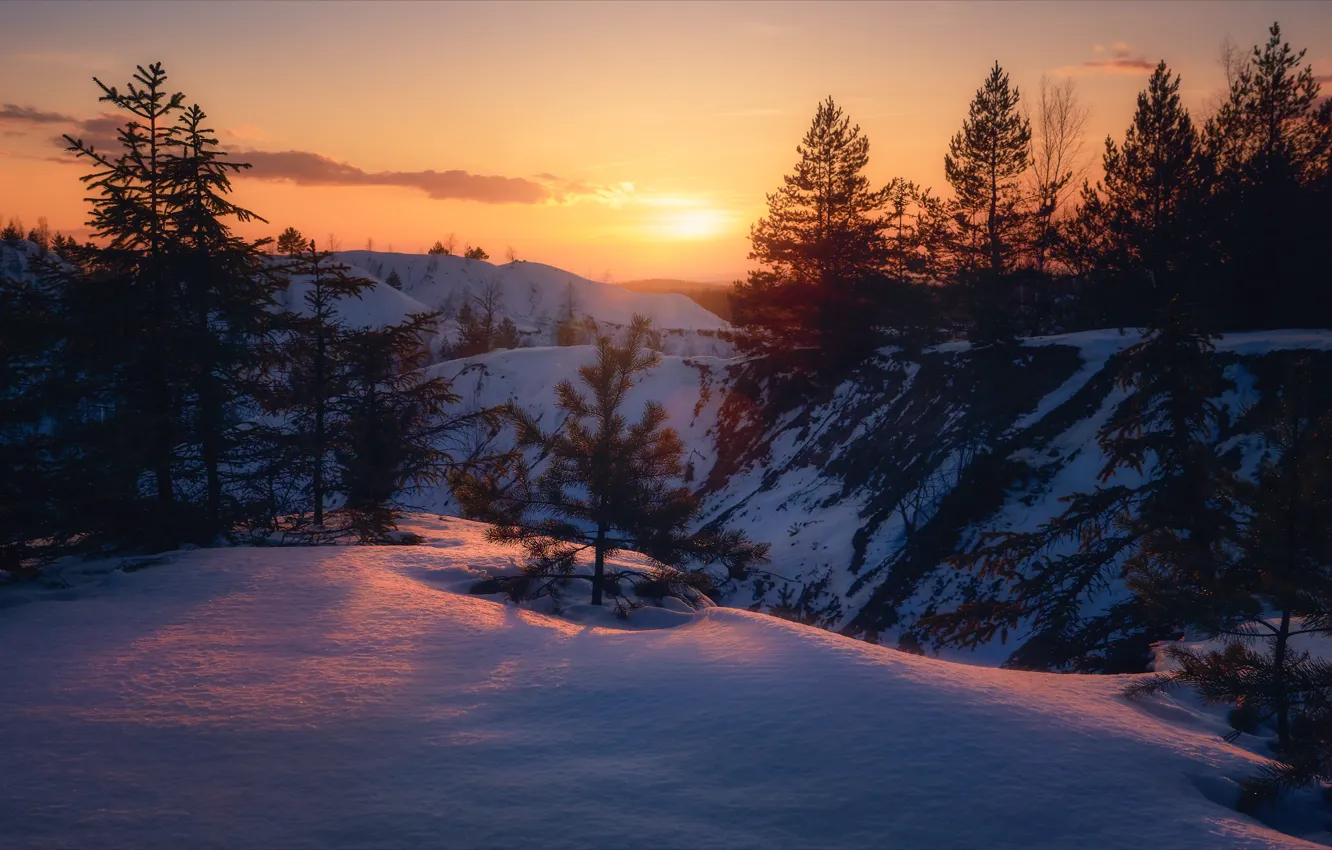 Photo wallpaper winter, snow, trees, landscape, sunset, nature, Alexey Bagaryakov