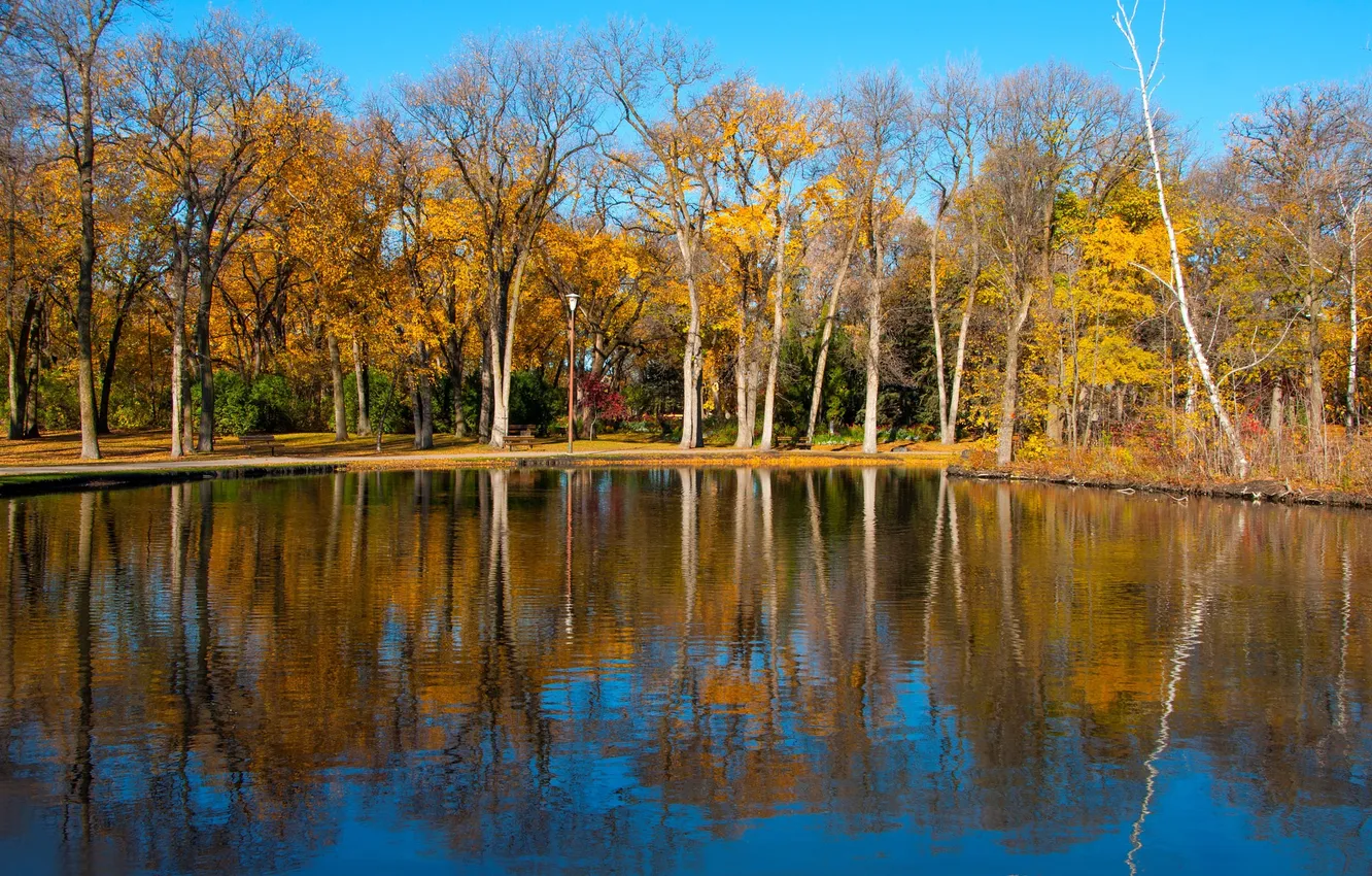 Photo wallpaper autumn, trees, lake, pond, Park, reflection