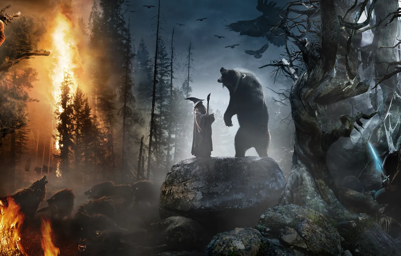 Photo wallpaper forest, stones, animals, fire, fire, collage, sword, hat