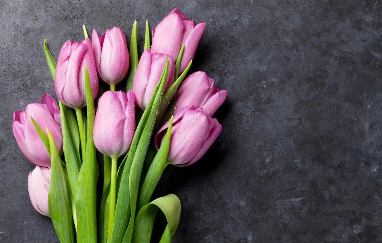 Photo wallpaper flowers, bouquet, tulips, pink, flowers, tulips, spring, bouquet
