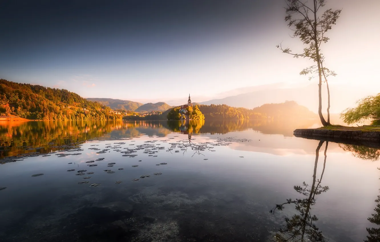 Photo wallpaper light, lake, morning