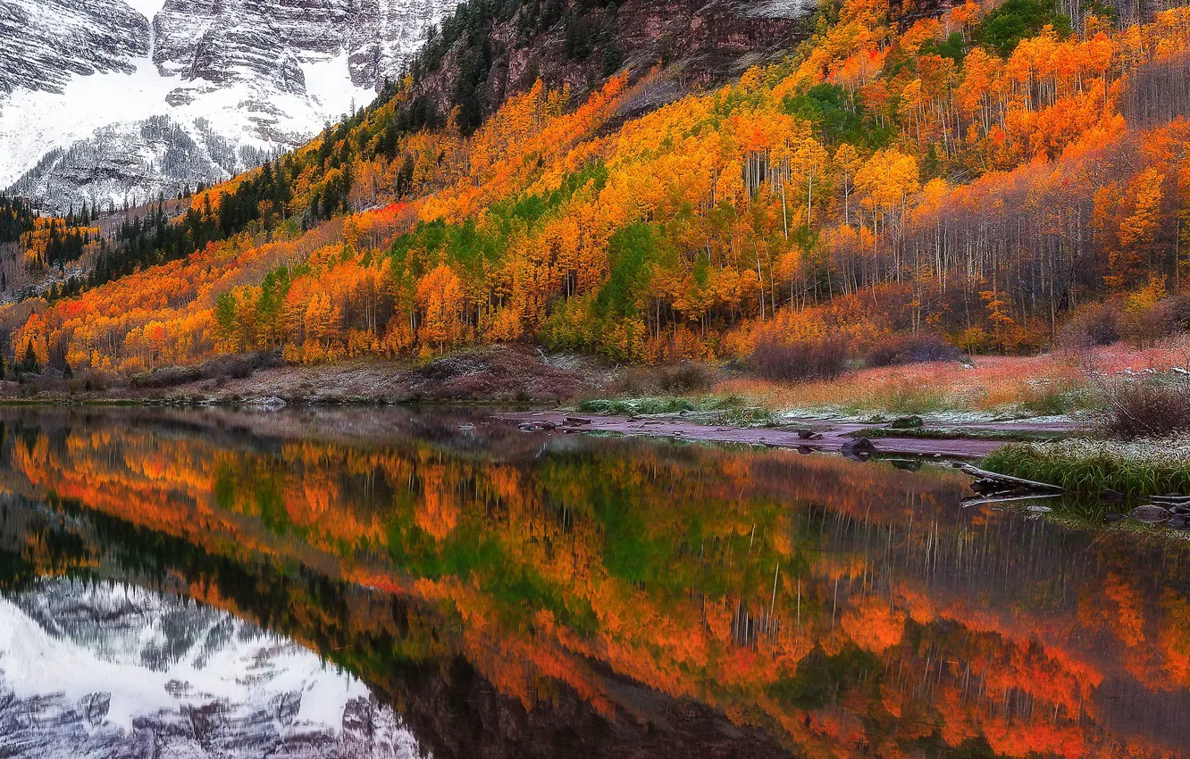 Photo wallpaper autumn, trees, mountains, lake, reflection, Colorado, USA, Aspen