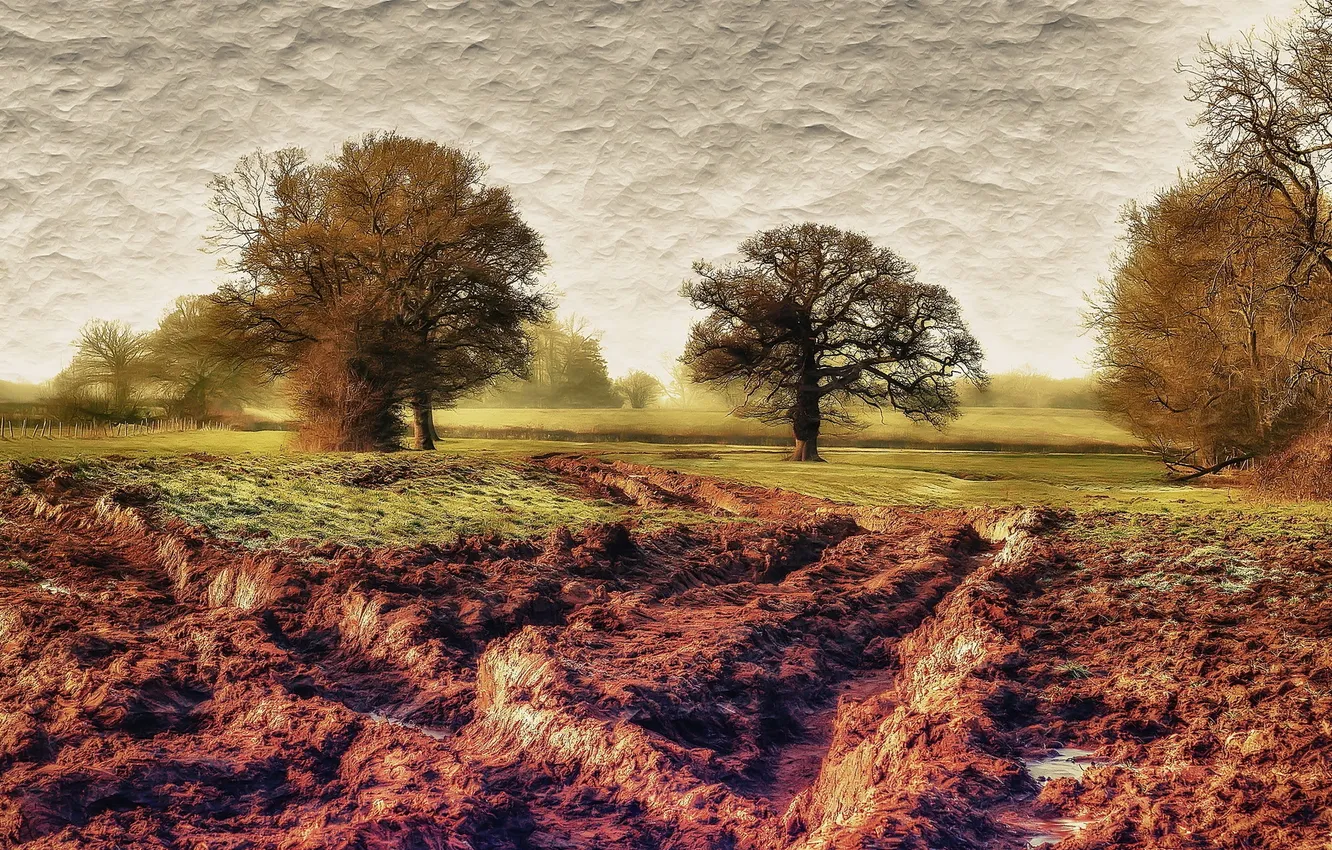 Photo wallpaper field, trees, landscape
