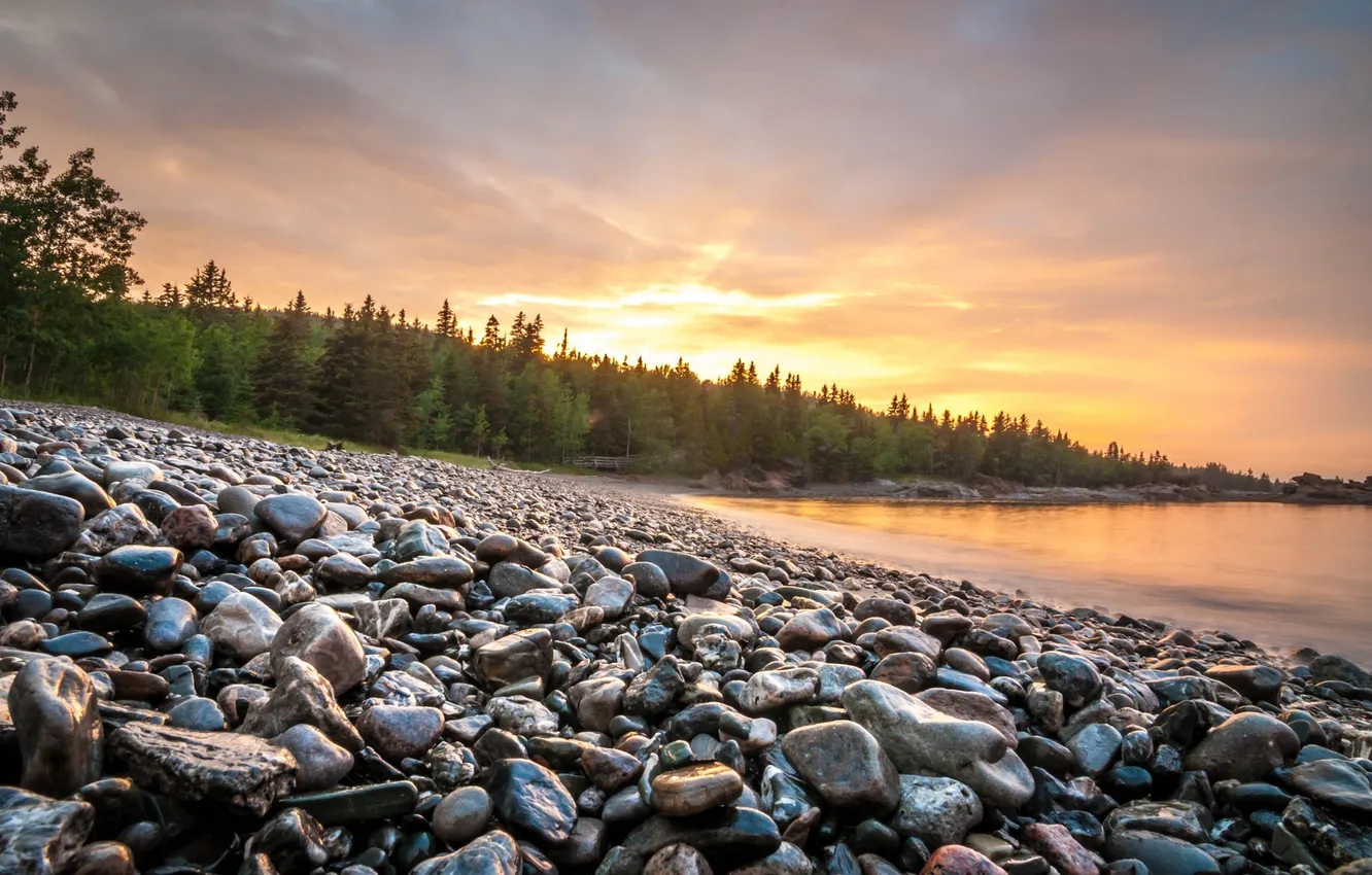 Photo wallpaper trees, sunset, lake, pebbles