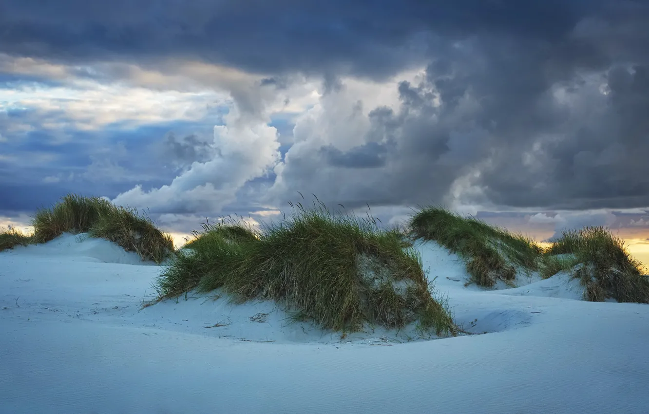 Photo wallpaper sunset, shore, dunes
