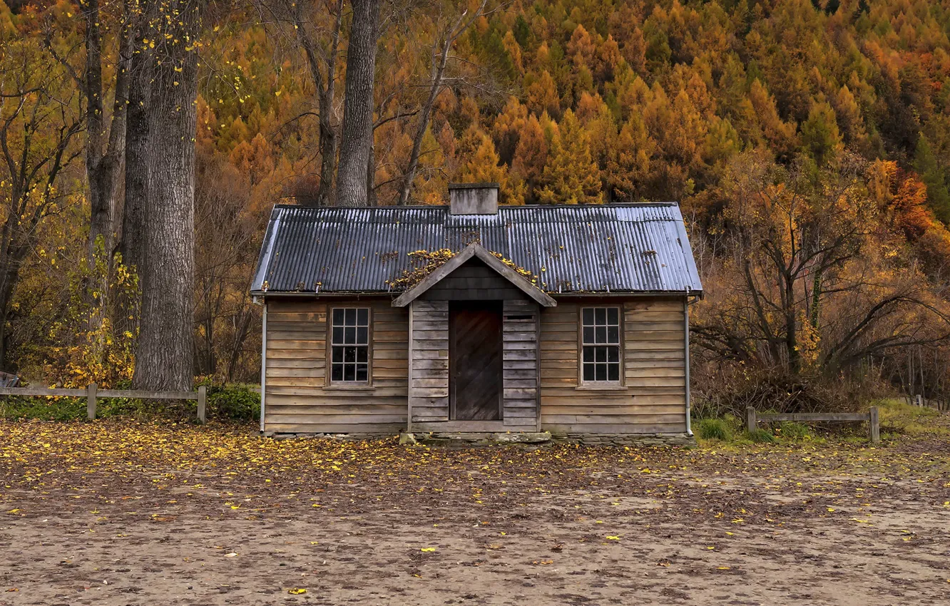Photo wallpaper autumn, forest, house