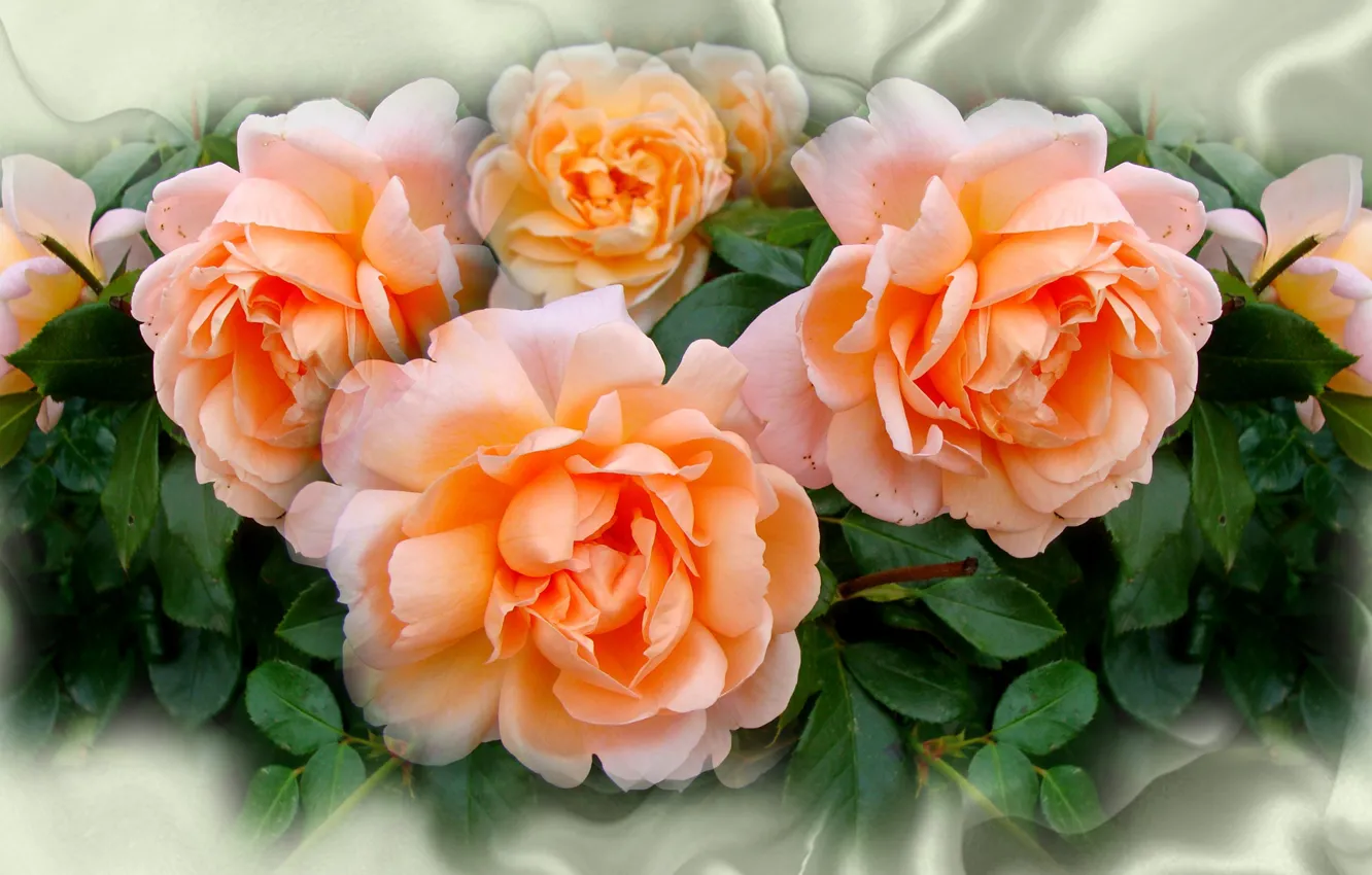 Photo wallpaper summer, flowers, nature, mood, roses, beauty, bouquet, rose