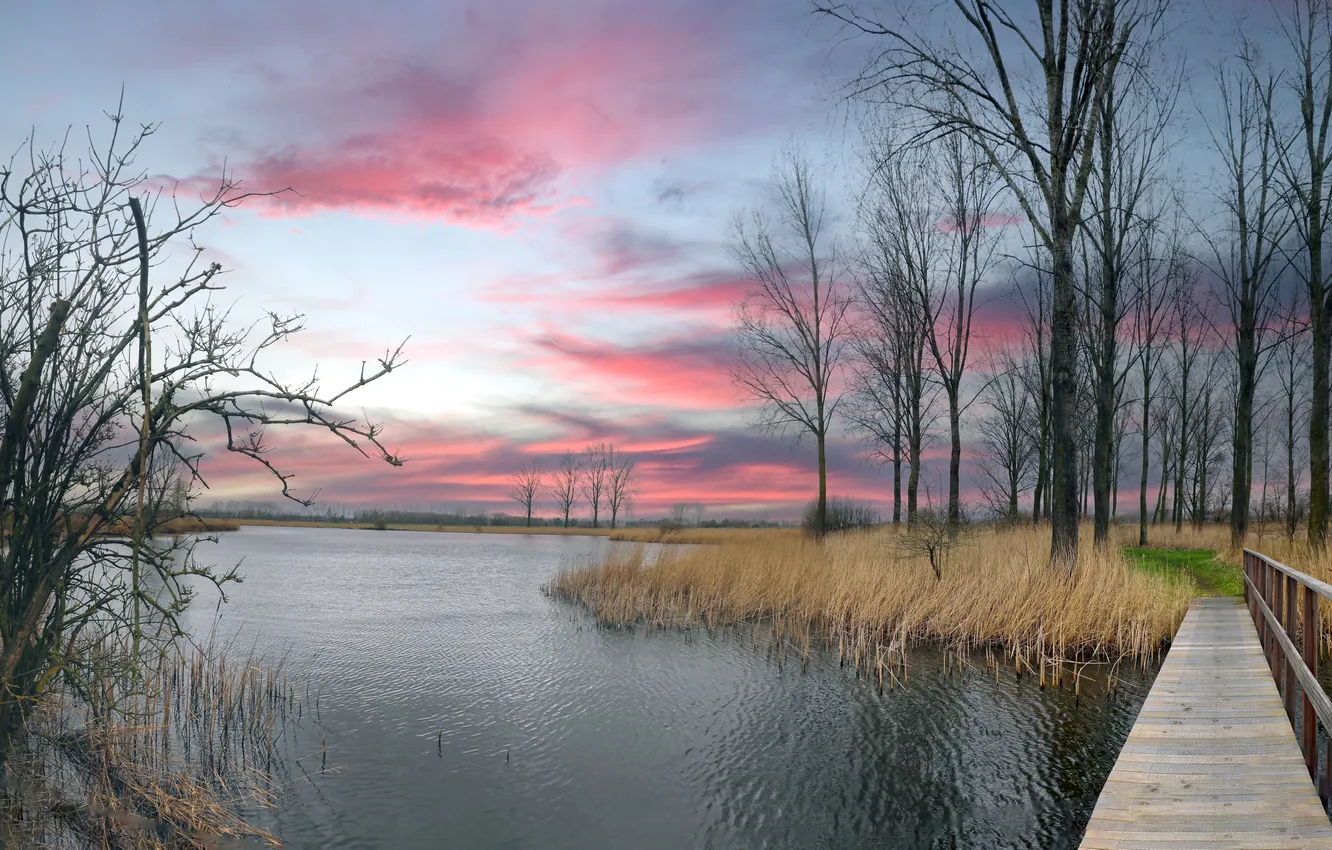 Photo wallpaper bridge, nature, lake