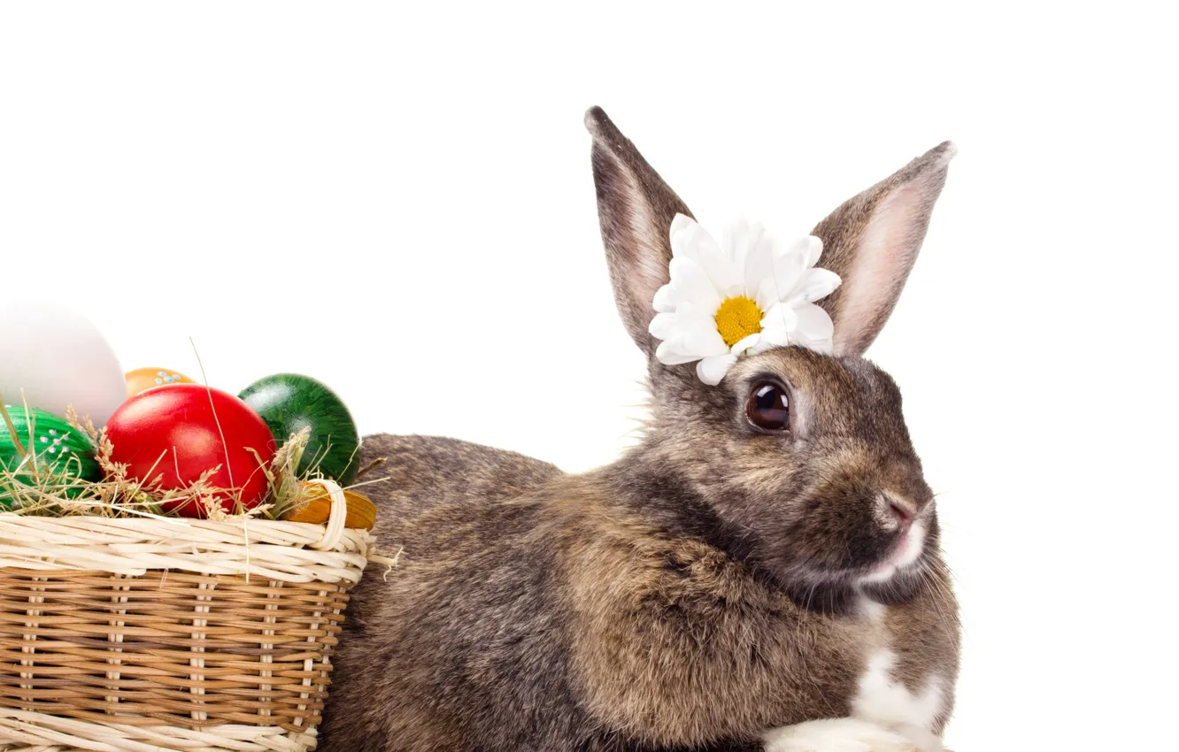 Photo wallpaper eggs, Easter, Easter eggs