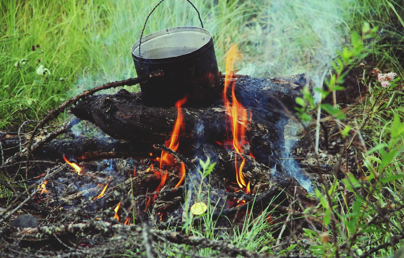 Photo wallpaper summer, nature, the fire