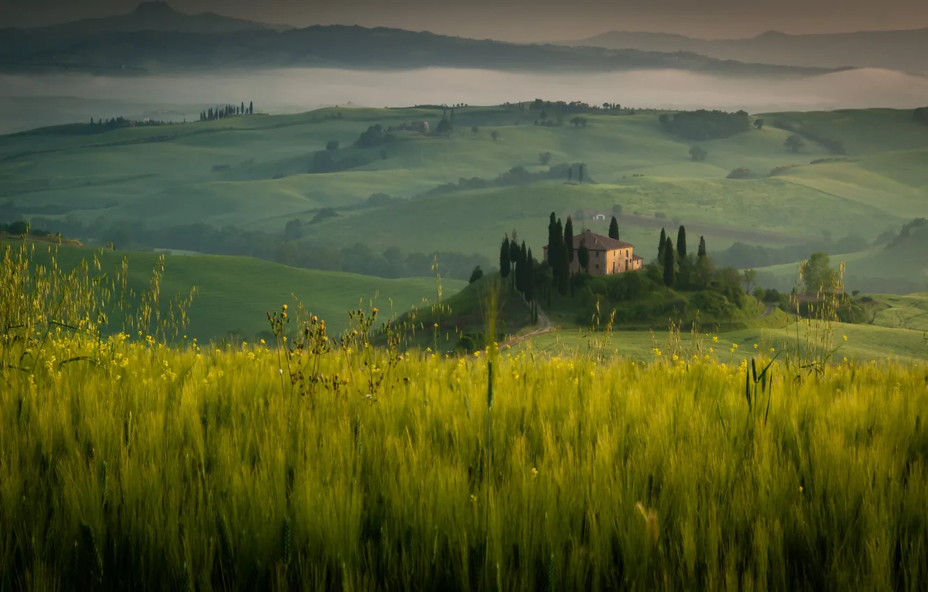 Photo wallpaper home, morning, mountains, greens, field, cereals, view, summer