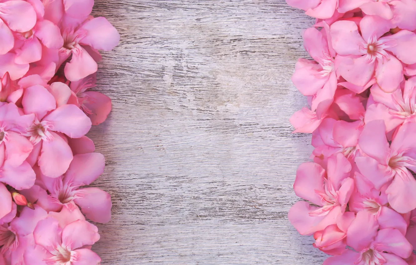 Photo wallpaper flowers, pink, wood, pink, flowers, tender