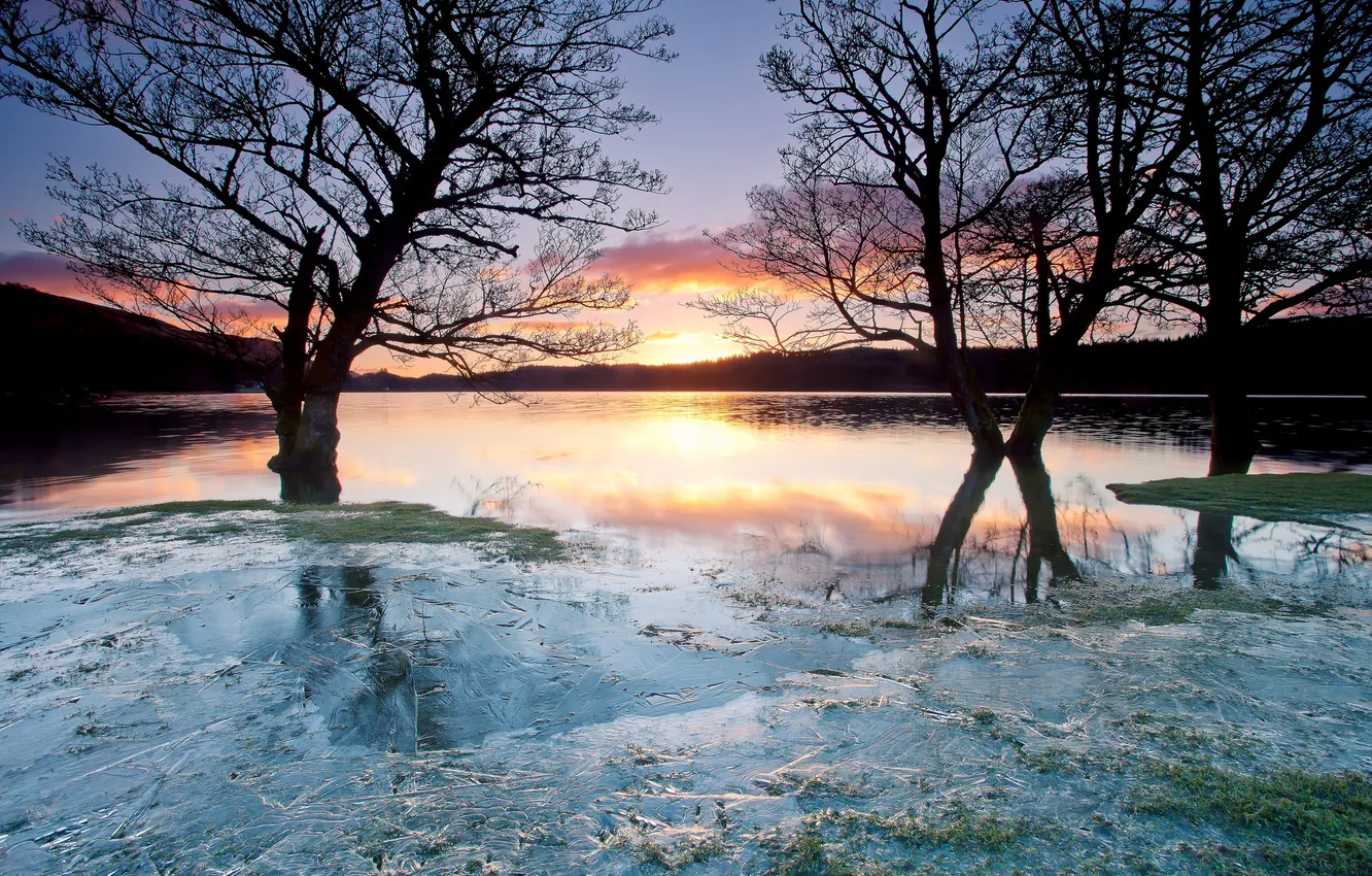 Photo wallpaper ice, trees, sunset, lake, freezing