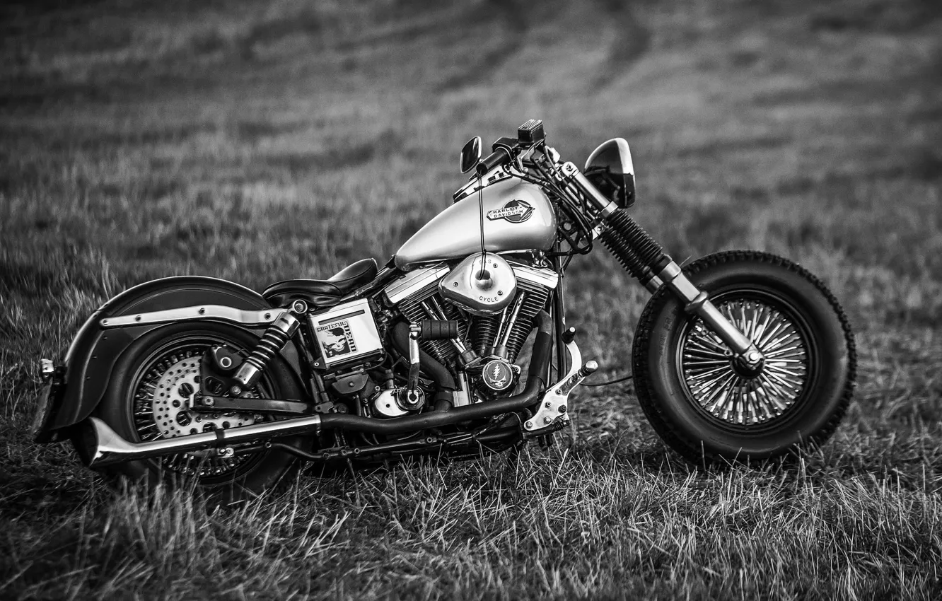 Photo wallpaper design, style, motorcycle, form, bike, Harley-Davidson