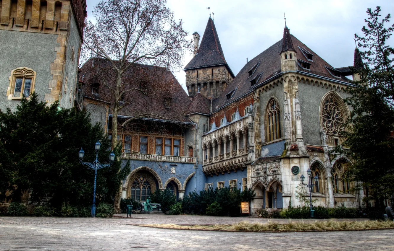 Photo wallpaper trees, bench, nature, the city, Park, castle, lights, Hungary