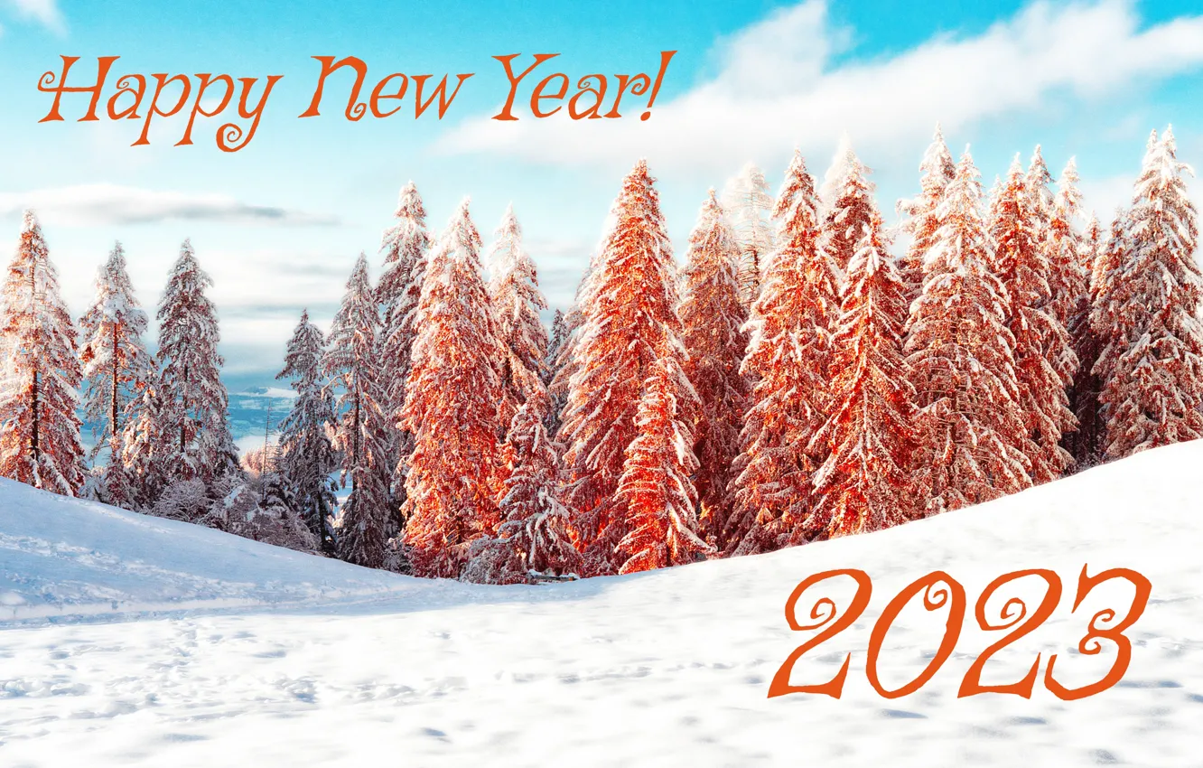 Photo wallpaper winter, forest, the sky, clouds, nature, the inscription, new year, ate