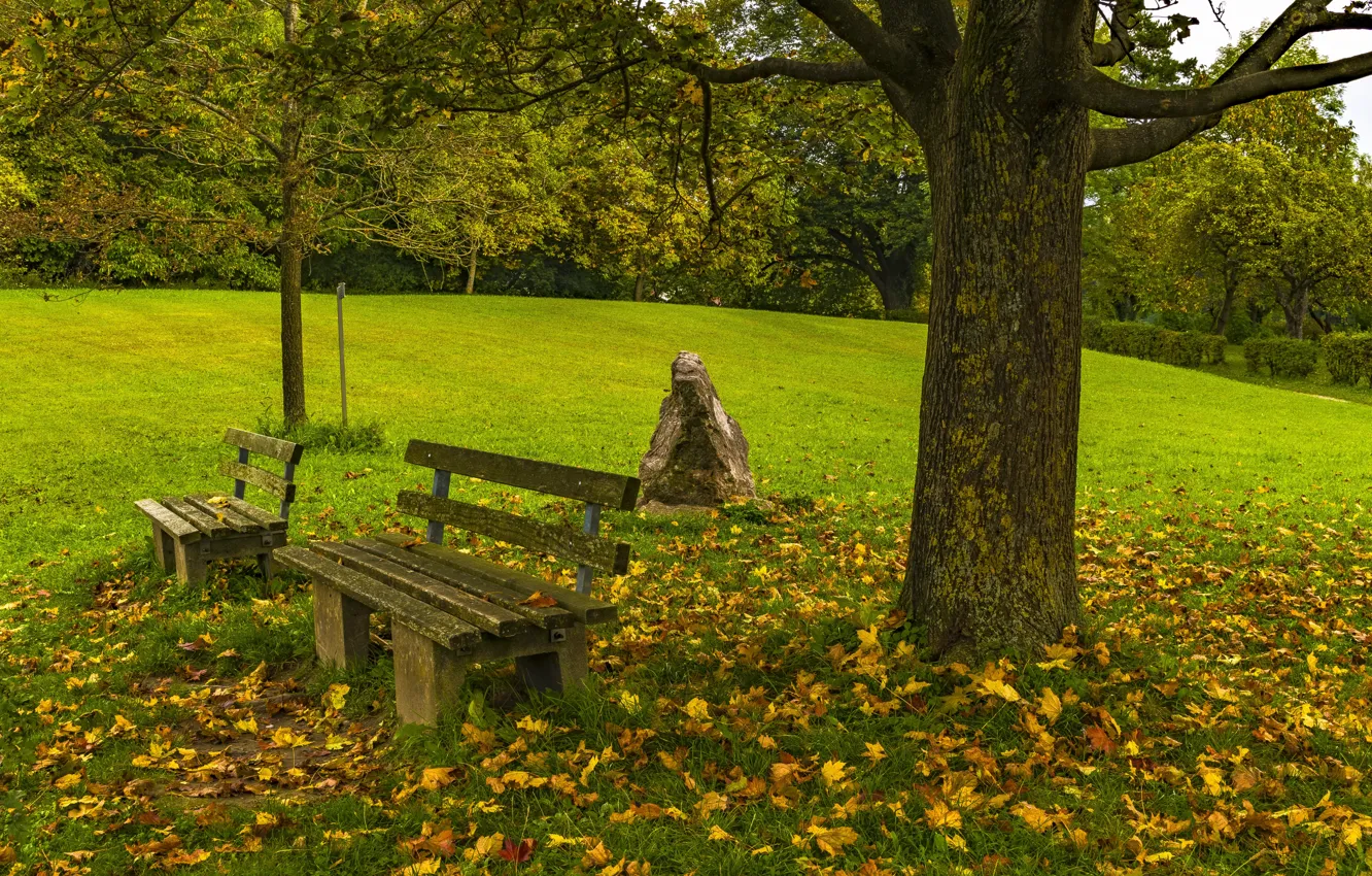 Photo wallpaper autumn, leaves, trees, bench, nature, Park