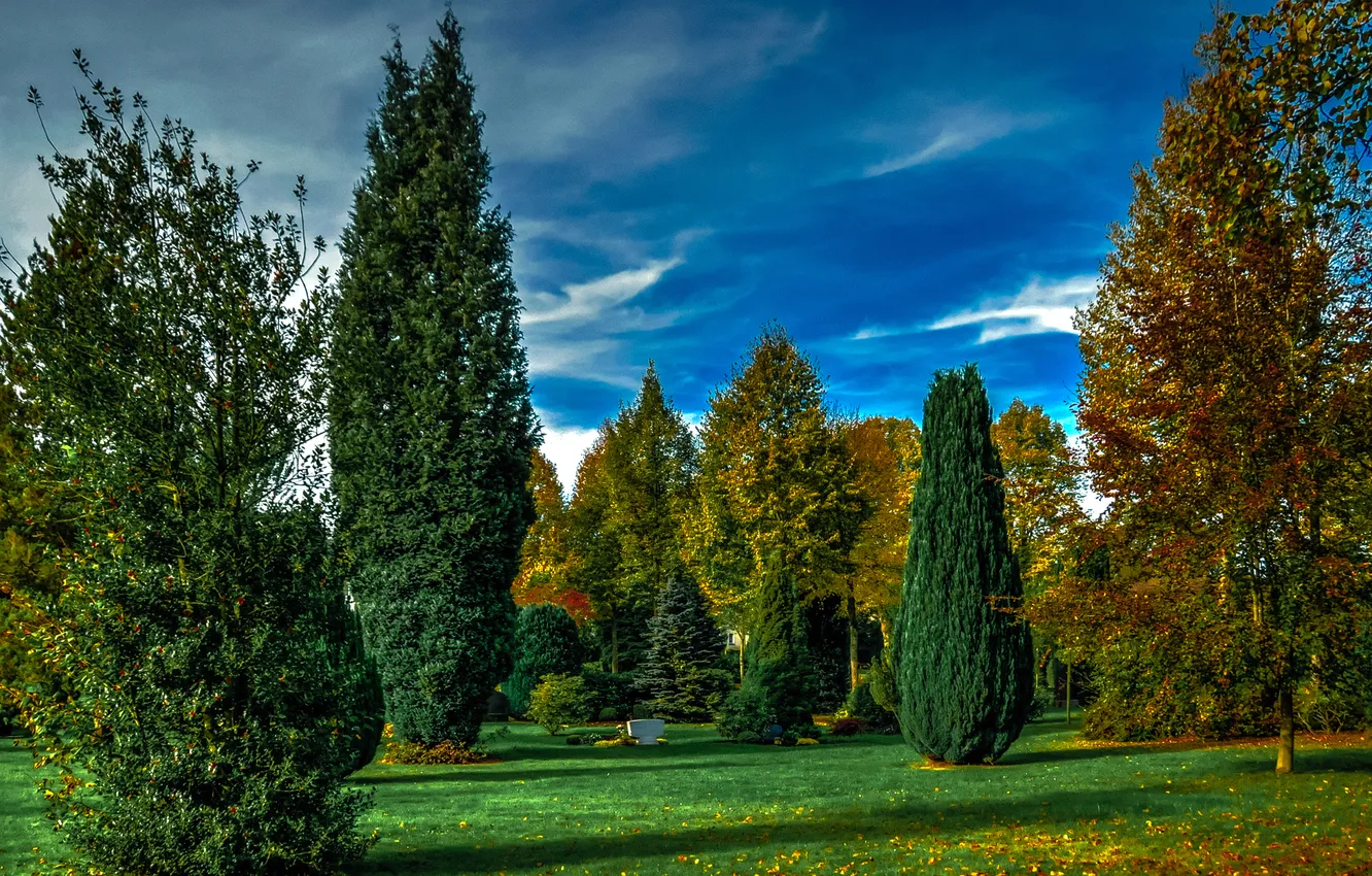 Photo wallpaper autumn, grass, leaves, trees, Park, treatment, Germany, Attendorn