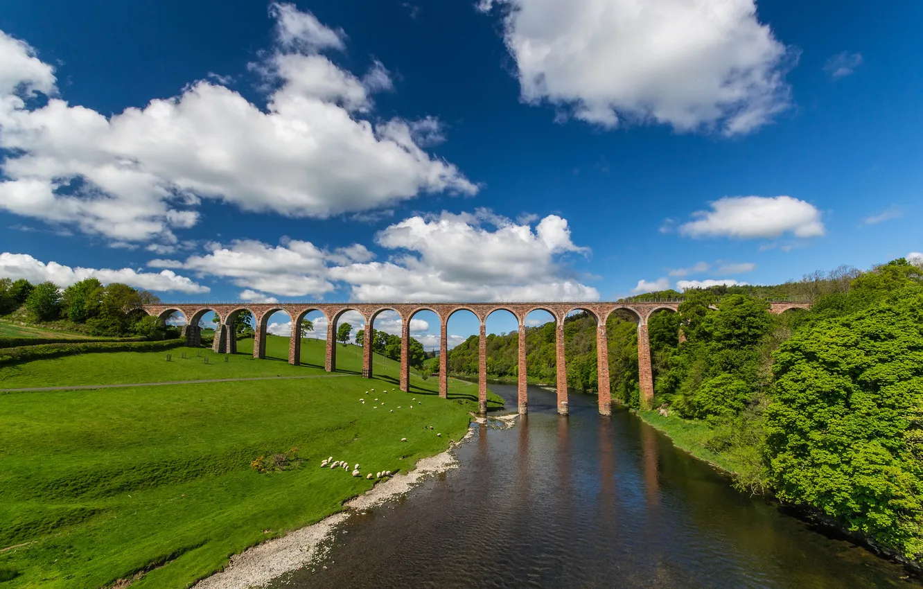 Photo wallpaper bridge, Scotland, meadow, viaduct, Scotland, River Tweed, the river tweed, Leaderfoot Viaduct
