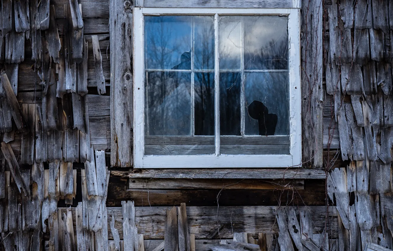 Photo wallpaper roof, house, window, naturalism