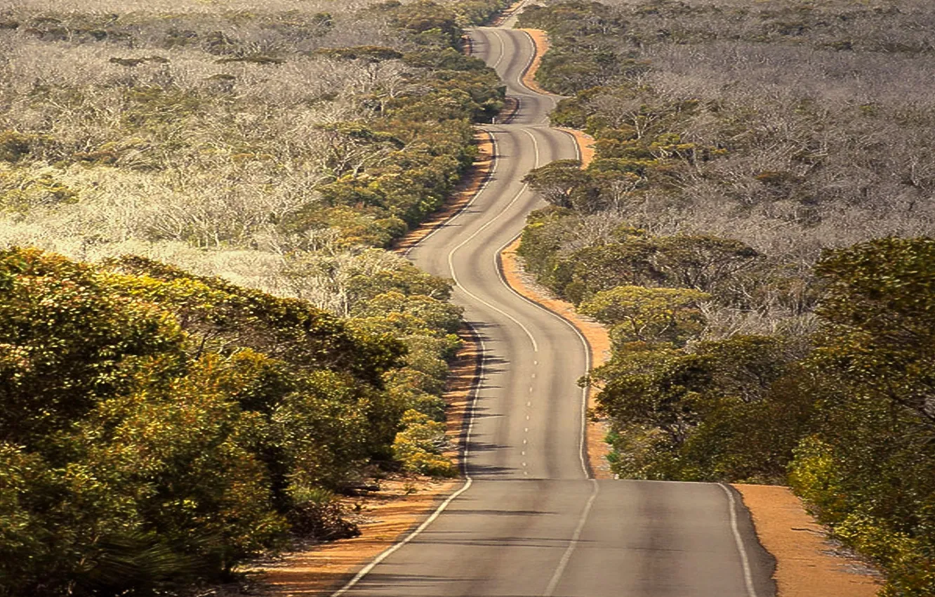 Photo wallpaper road, the way, highway