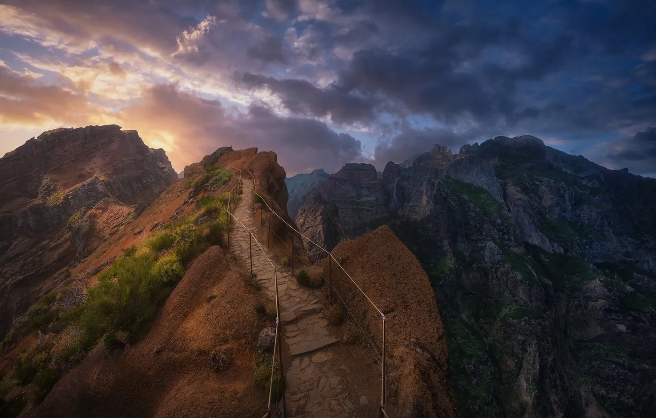 Photo wallpaper the sky, clouds, mountains, rocks, dawn, vegetation, the descent, tops