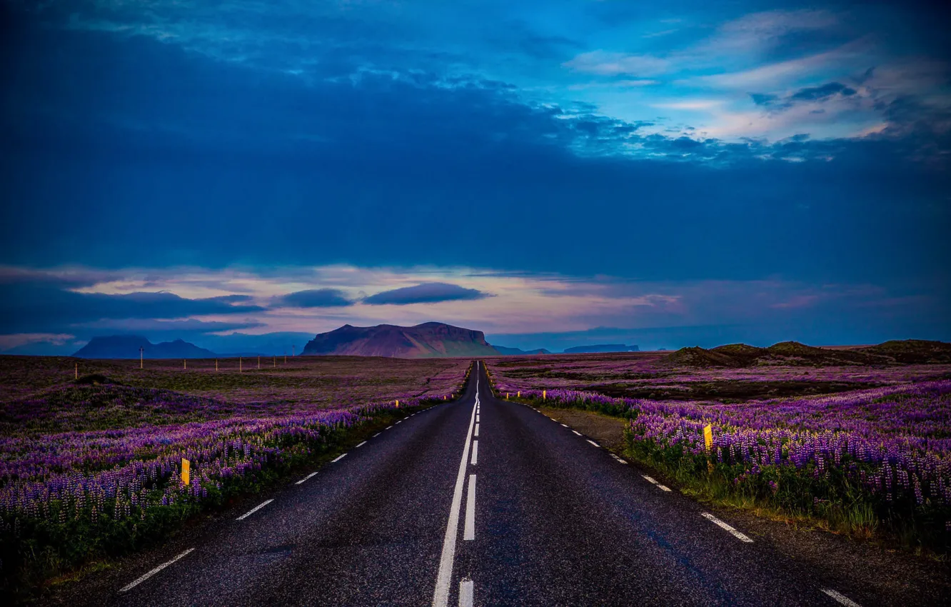 Photo wallpaper road, landscape, flowers, mountains, nature, field, Iceland, lupins