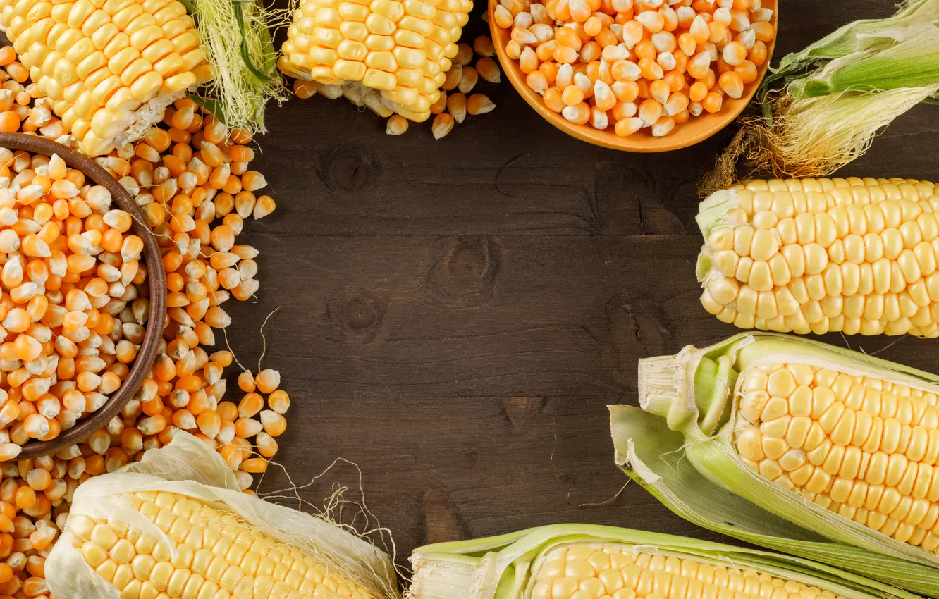 Photo wallpaper corn, the cob, corn grains