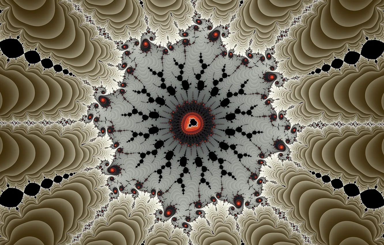 Photo wallpaper flower, background, pattern