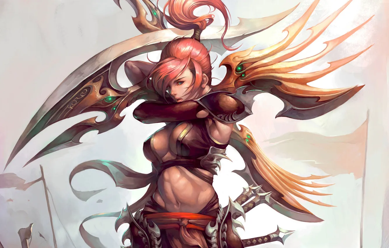 Photo wallpaper flag, blade, Daggers, Legend of Mir