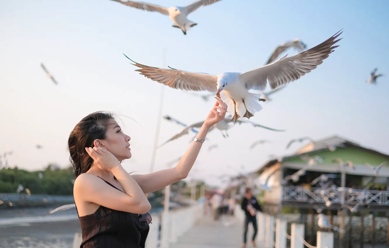 Photo wallpaper girl, birds, face, the wind, hair, seagulls