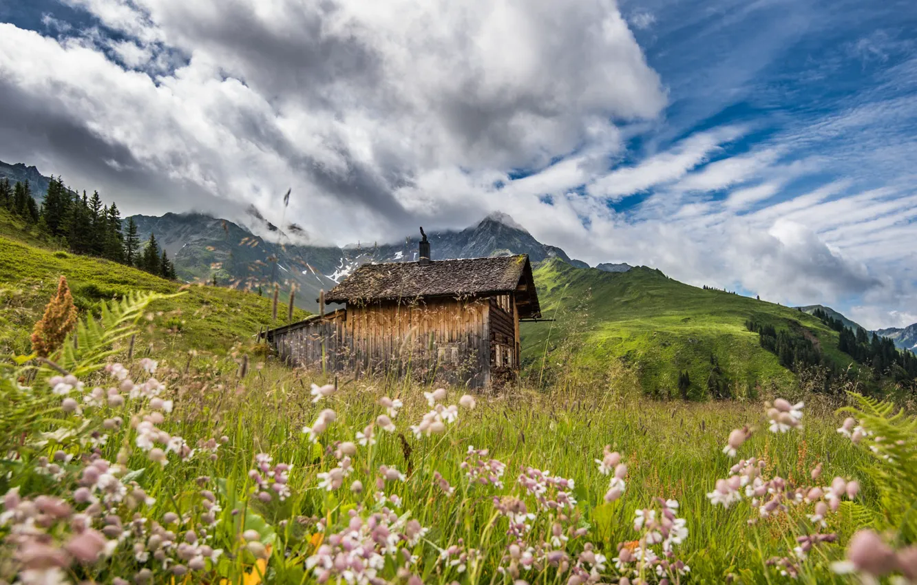 Photo wallpaper field, the sky, flowers, mountains, meadow, house