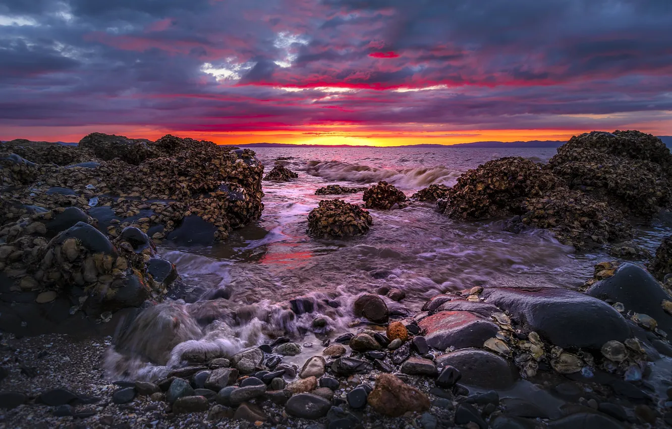 Photo wallpaper sea, sunset, stones, rocks