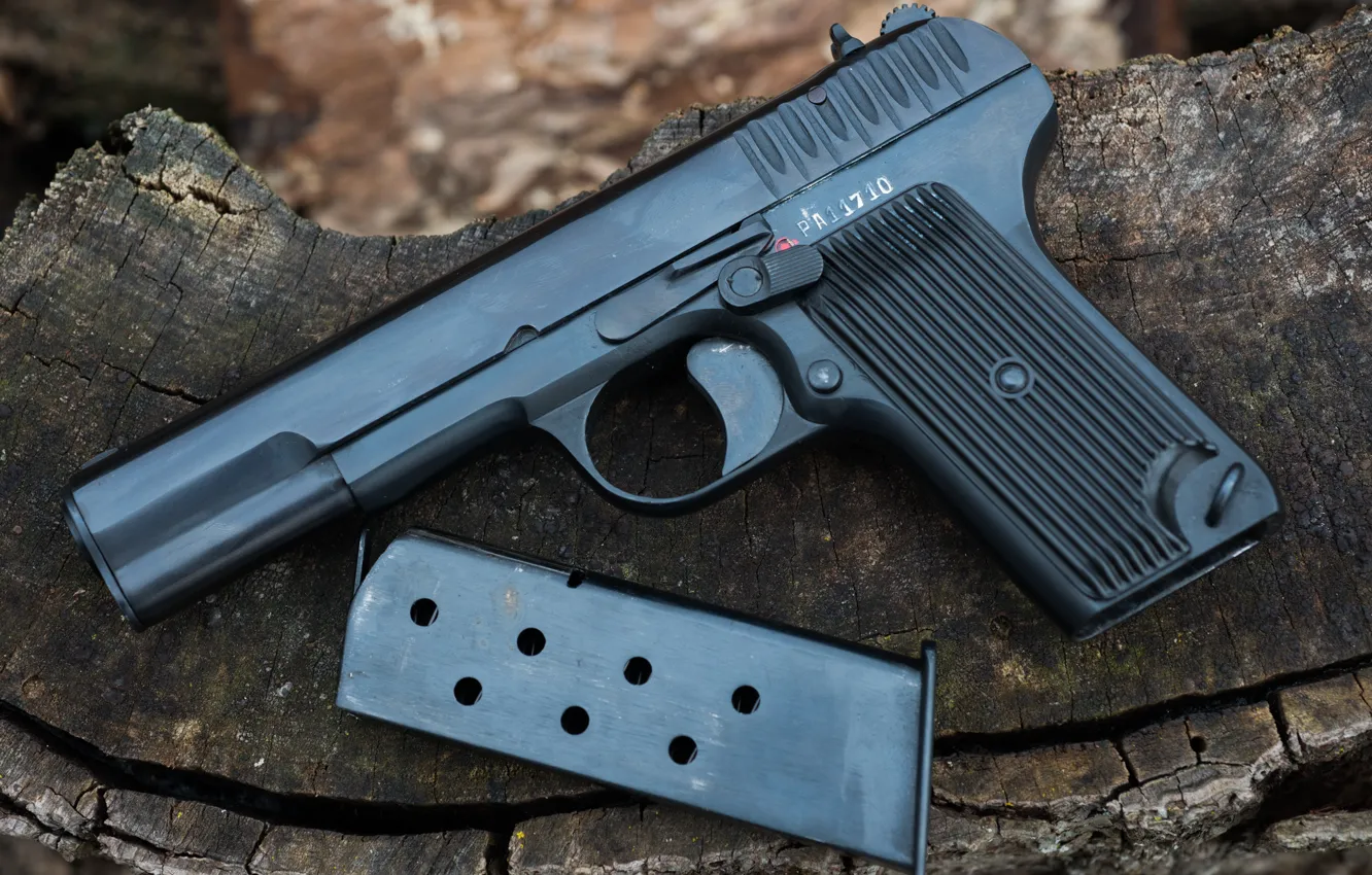 Photo wallpaper gun, shop, polish, TTC